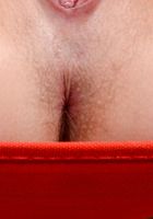 Wanton shows her young fur, Willow Amore (wil018) ATK Natural & Hairy: Willow Amore (Wanton shows her young fur)